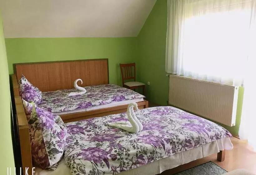 ペンション Zsuzsi Vendégház