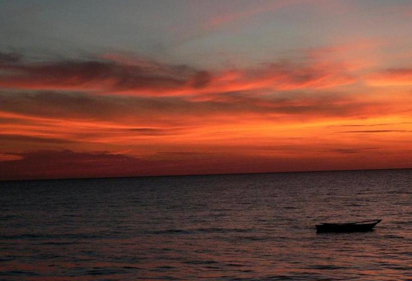 פנסיון Alibi's Well