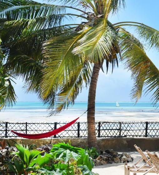 פנסיון Alibi's Well