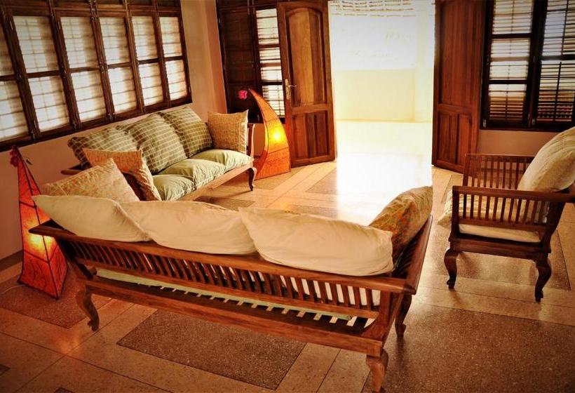 פנסיון Alibi's Well