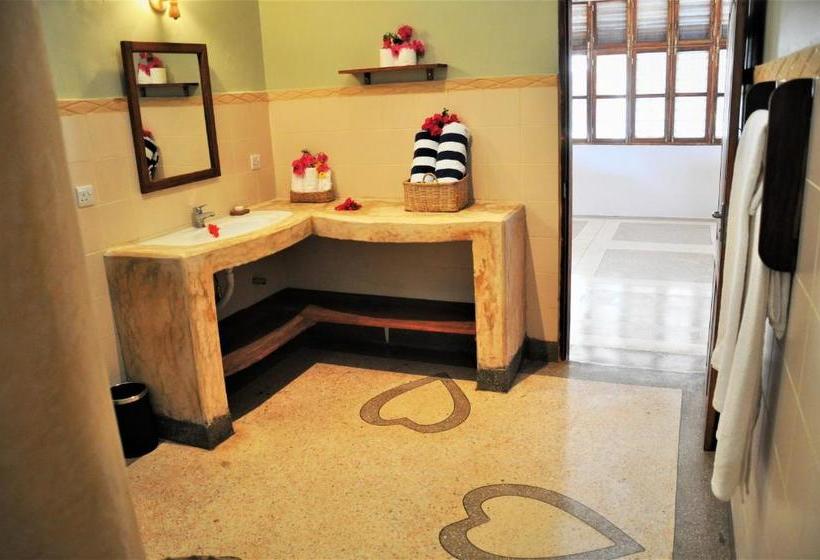 פנסיון Alibi's Well