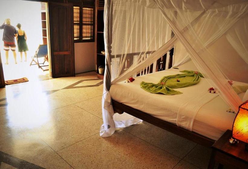 פנסיון Alibi's Well