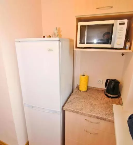 پانسیون Poilsis Prie Dineikos Parko