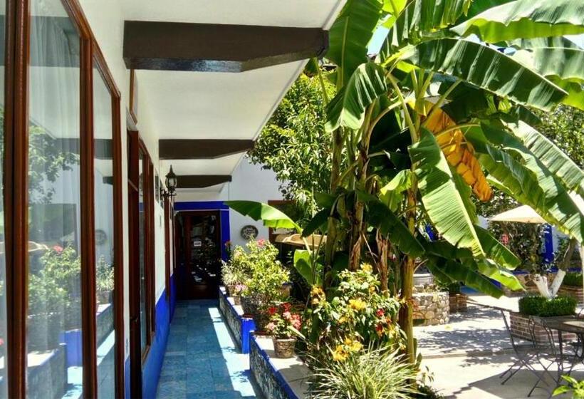 بنسيون Hostal Plaza Central