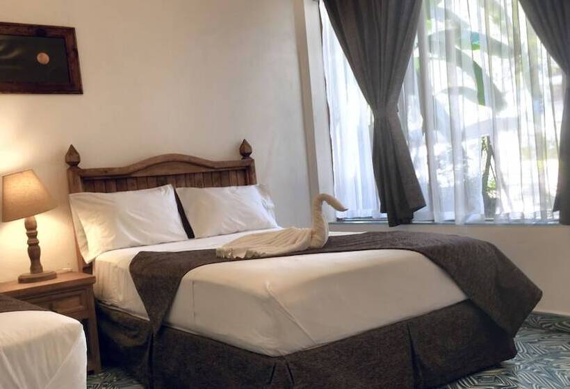 بنسيون Hostal Plaza Central