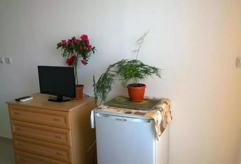 ペンション House Of Flowers