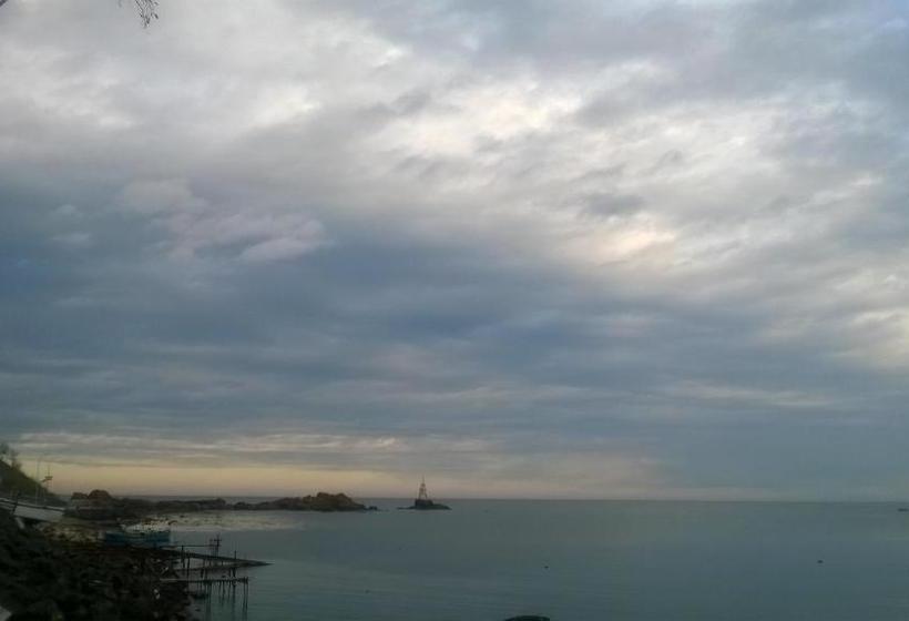 펜션 House Of Flowers