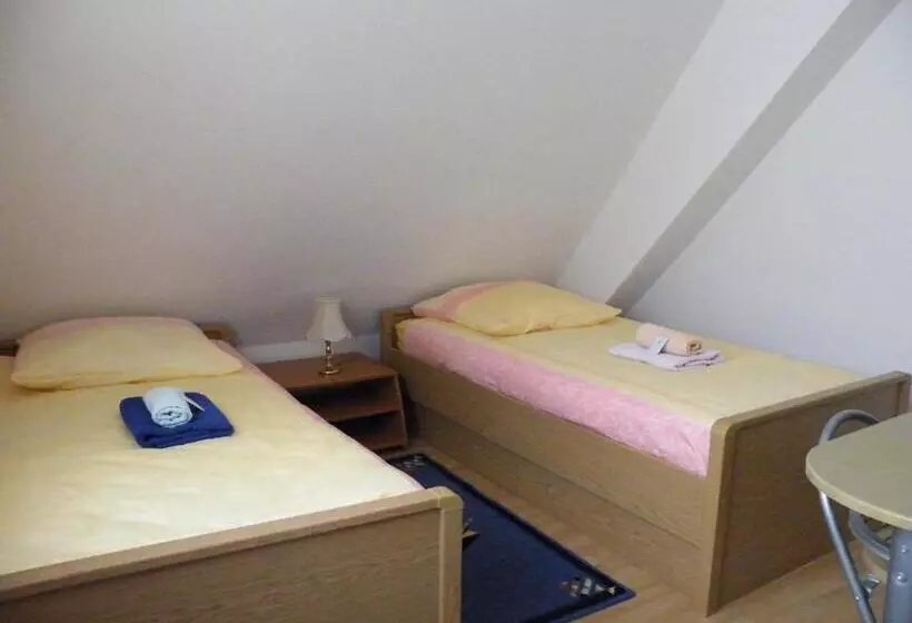 ペンション Penzion U štoly Jáchymov