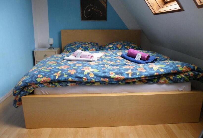 פנסיון Penzion U štoly Jáchymov