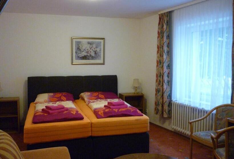 פנסיון Penzion U štoly Jáchymov