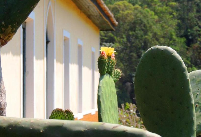 Panzió Pousada Fazenda São Luiz
