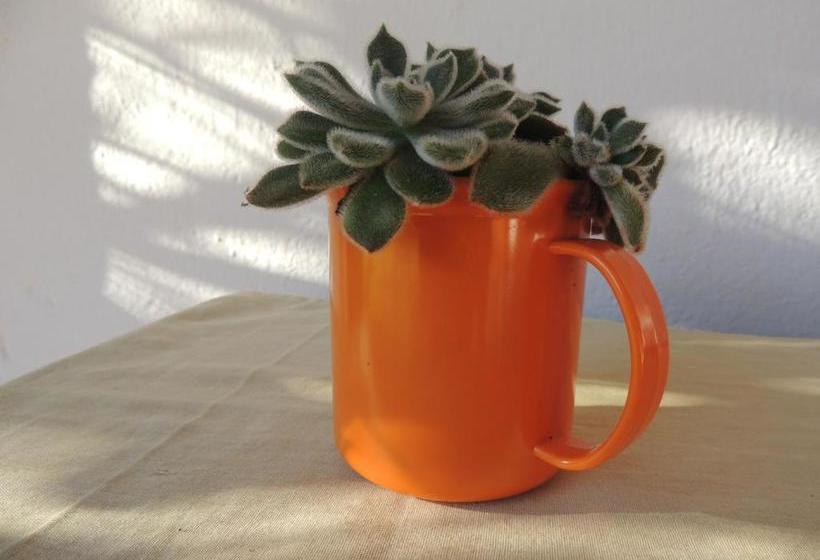 Panzió Pousada Fazenda São Luiz