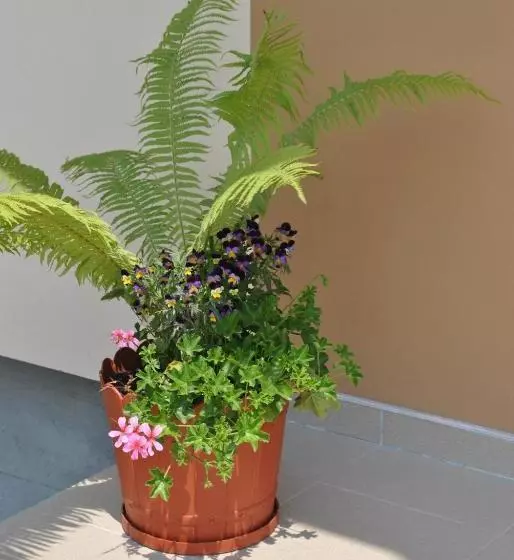 Pensiunea Queen Mary