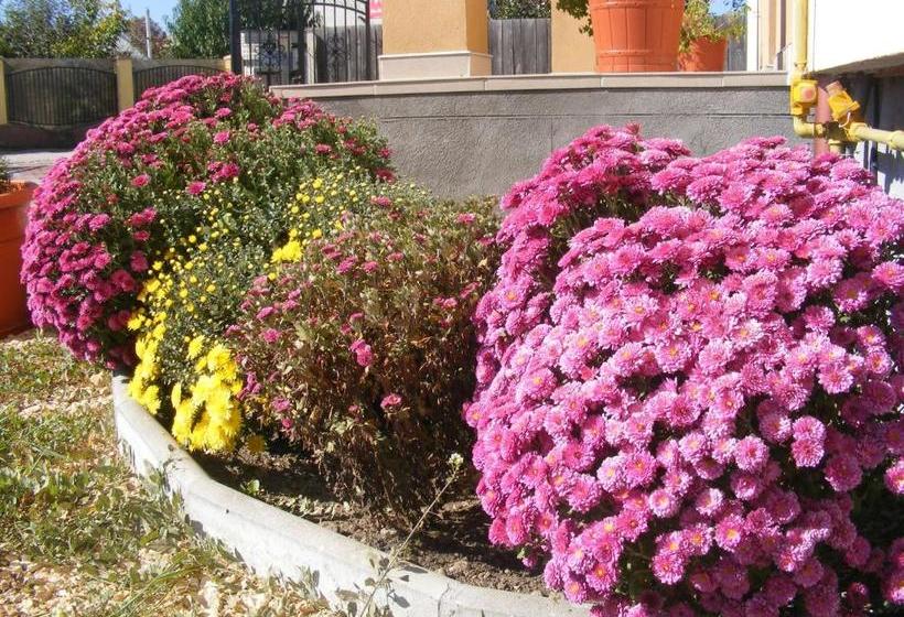 Pensiunea Queen Mary