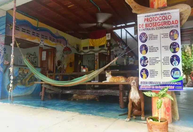 Majatalo Casa Surf Mar Azul