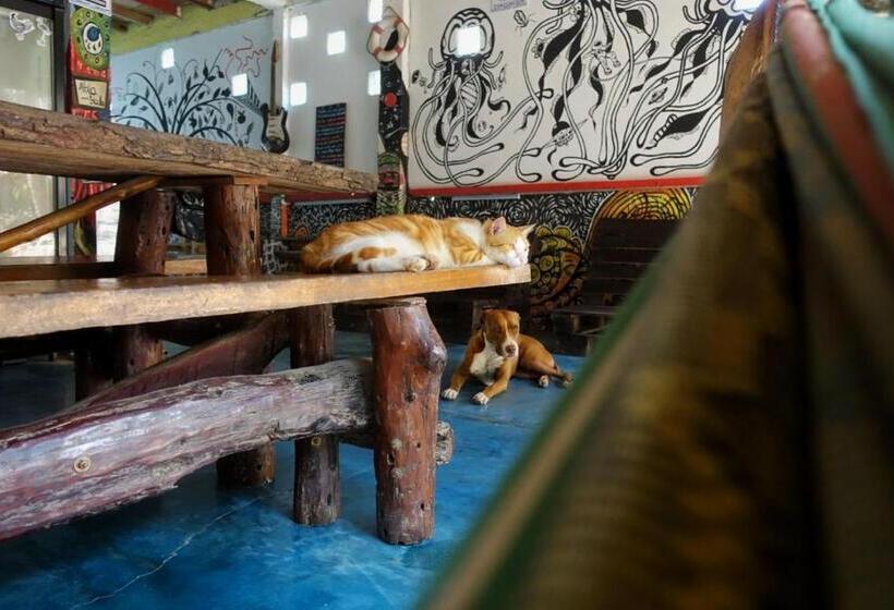 پانسیون Casa Surf Mar Azul