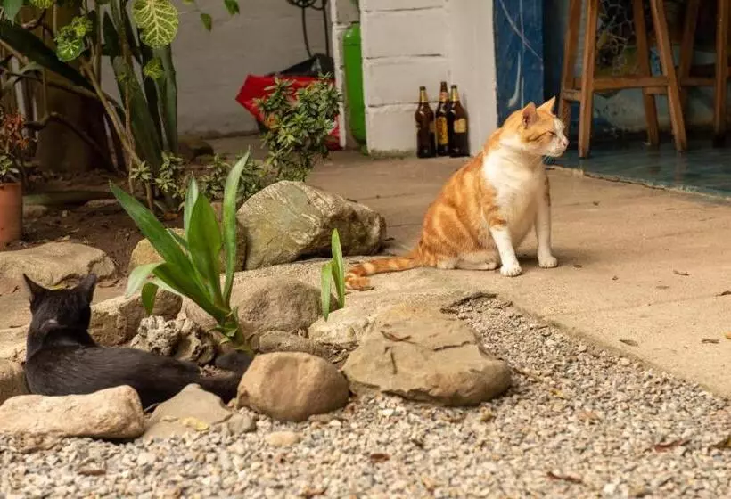 Majatalo Casa Surf Mar Azul