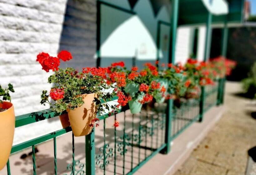 Pensionat Dolce Villa Balaton