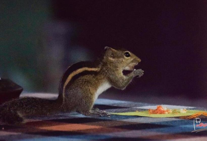 Pansiyon Gamagedara Resort