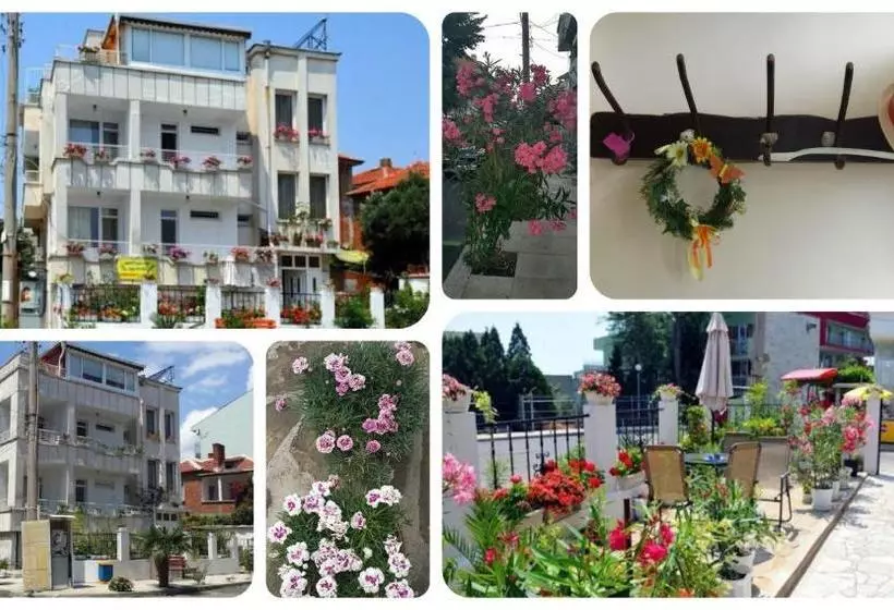 پانسیون Guest House Margarita