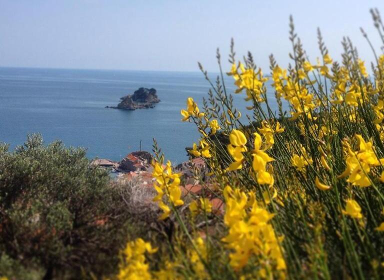 پانسیون Guest House Maslina