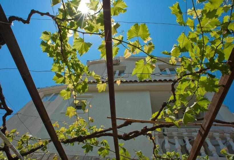 پانسیون Guest House Maslina