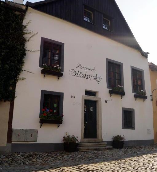 Pensionat Guest House Olšakovský