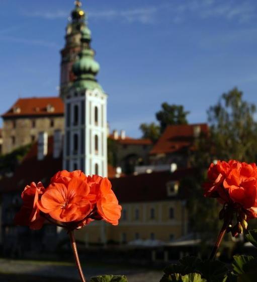 Pensionat Guest House Olšakovský