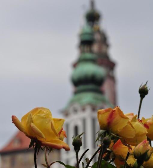 Pensionat Guest House Olšakovský