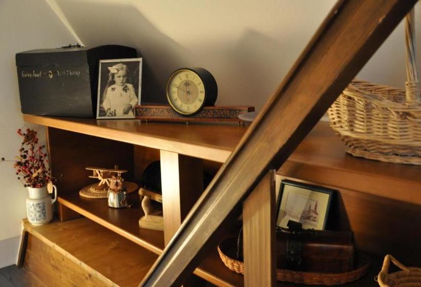 Pensionat Guest House Olšakovský