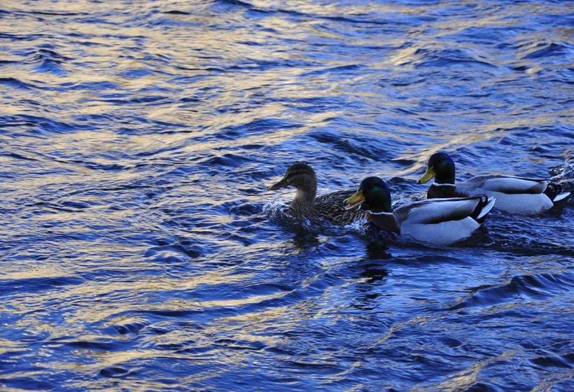 Pensionat Guest House Olšakovský