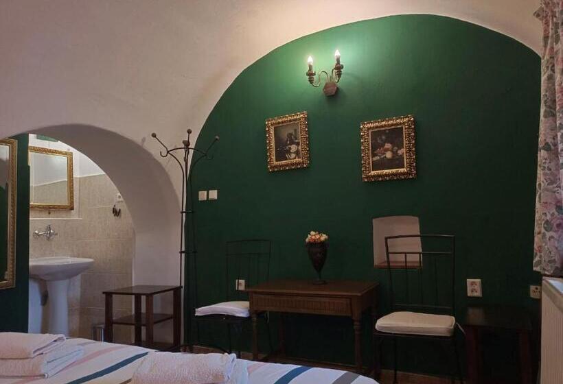 Pensionat Guest House Olšakovský