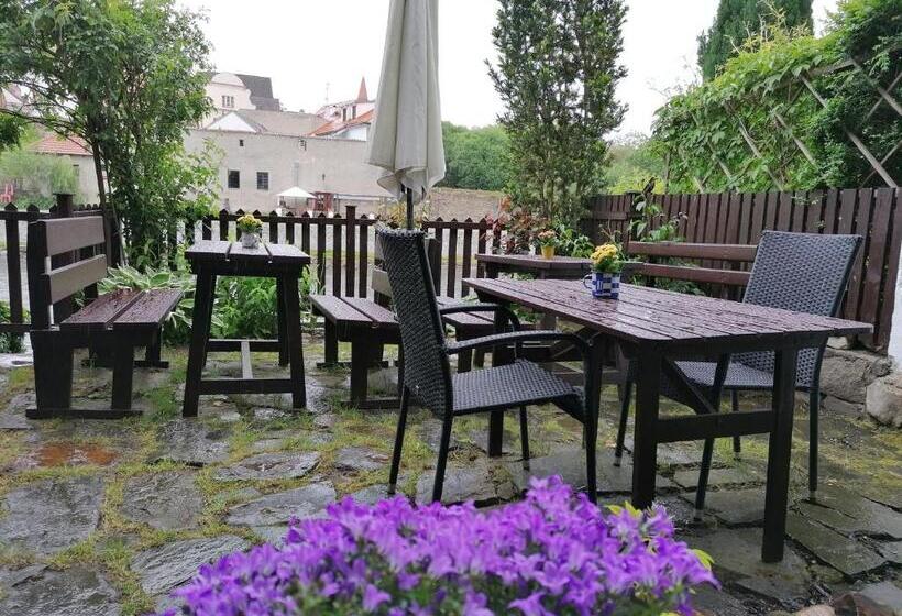 Pensionat Guest House Olšakovský