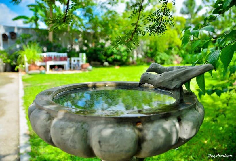 ペンション Madie S Place