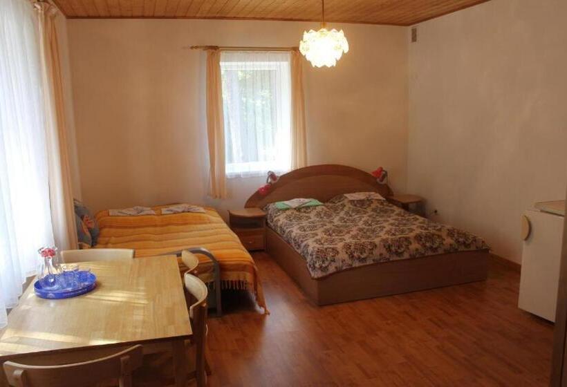 پانسیون Paliepgiris