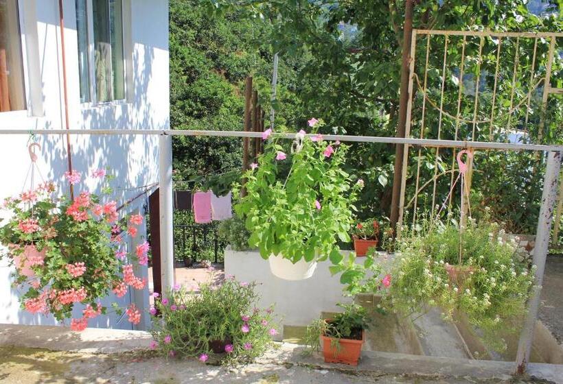 پانسیون Sanni Guest House