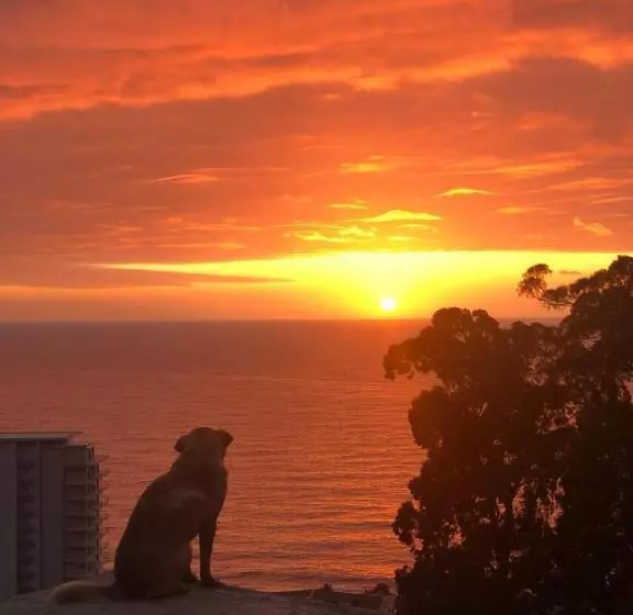 پانسیون Sanni Guest House