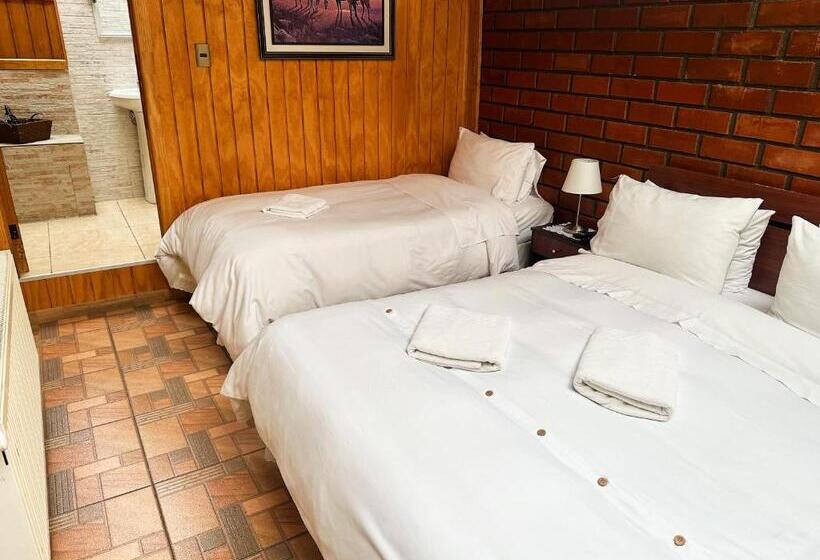 هاستل Hostal Hielo Sur