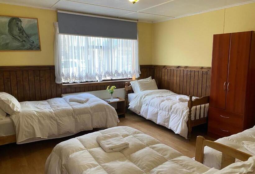 هاستل Hostal Hielo Sur