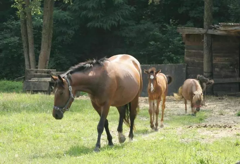 هتل Farm Stay Frank Ozmec Wine And Glamping Estate