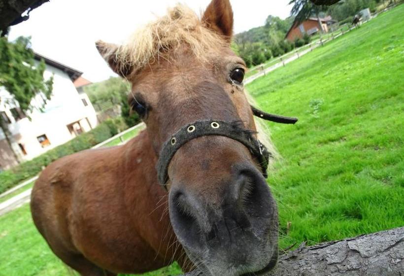 هتل Farm Stay Frank Ozmec Wine And Glamping Estate