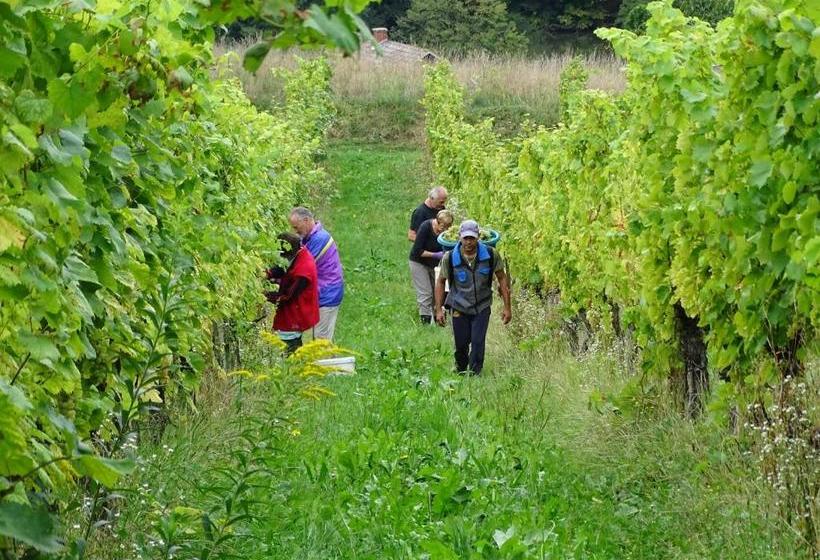 هتل Farm Stay Frank Ozmec Wine And Glamping Estate