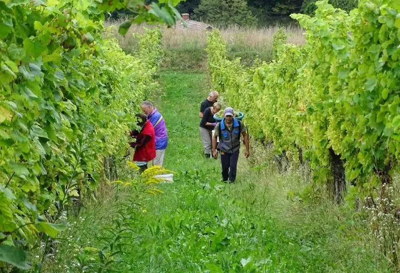 هتل Farm Stay Frank Ozmec Wine And Glamping Estate