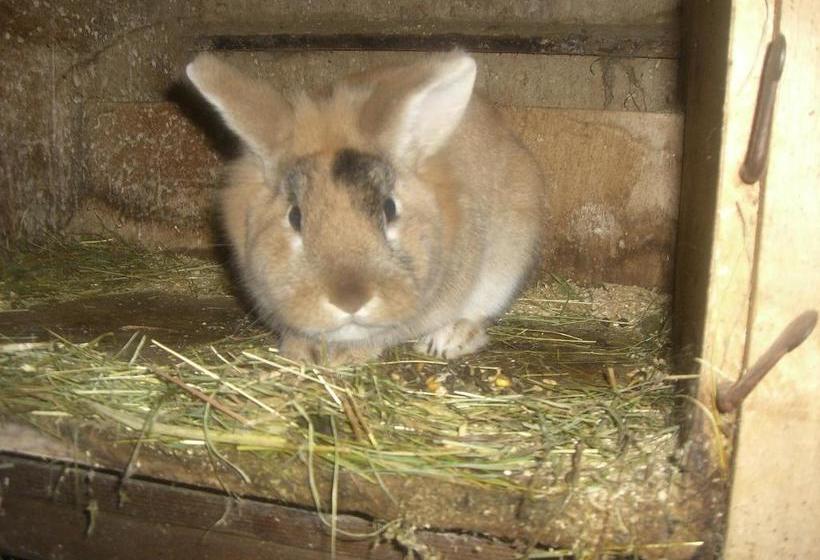 酒店 Vorderstockerhof