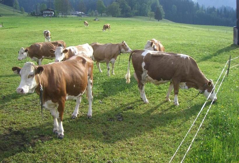 酒店 Vorderstockerhof