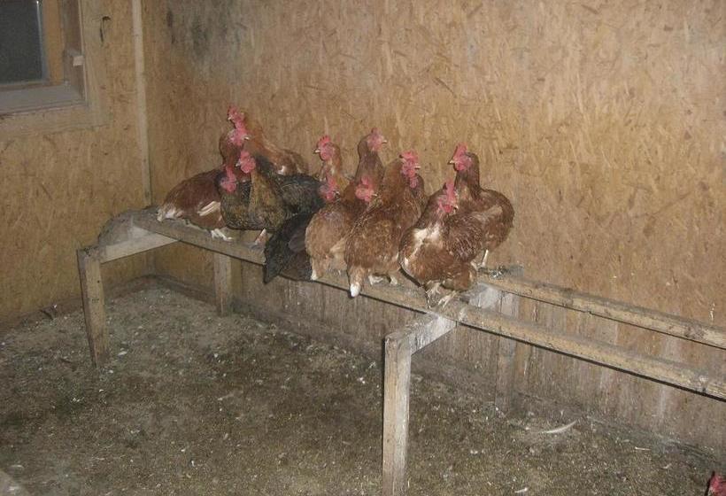 酒店 Vorderstockerhof