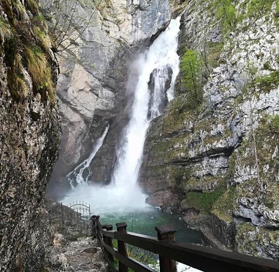 پانسیون Apartments & Rooms Stare