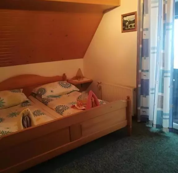پانسیون Apartments & Rooms Stare