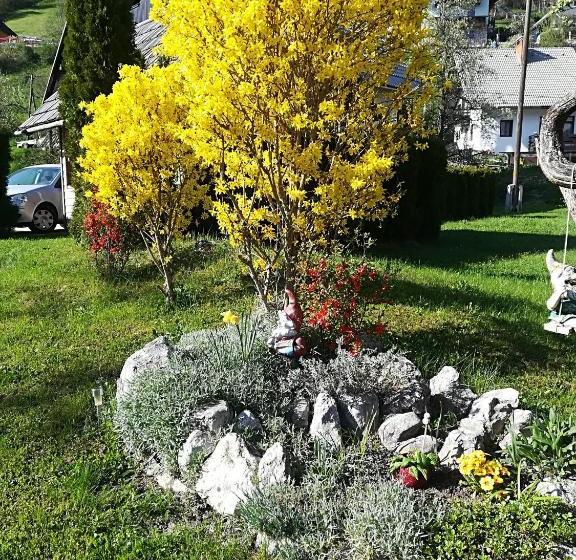 پانسیون Apartments & Rooms Stare