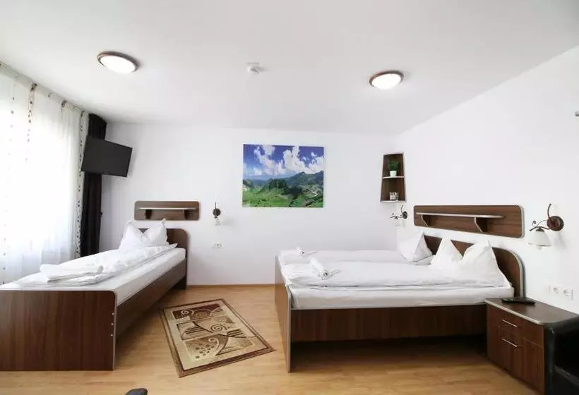 ペンション Casa Micu